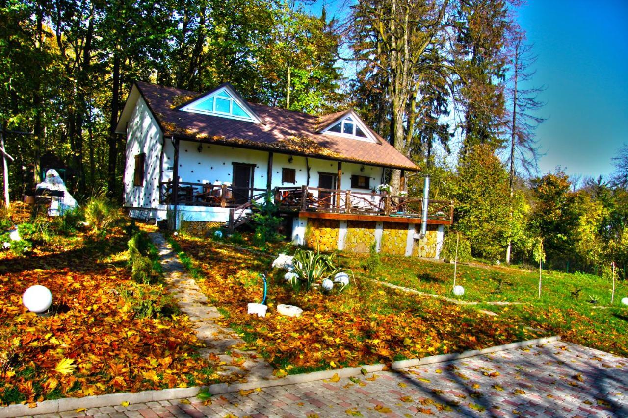 Panorama Hotel & Spa Černovice Exteriér fotografie