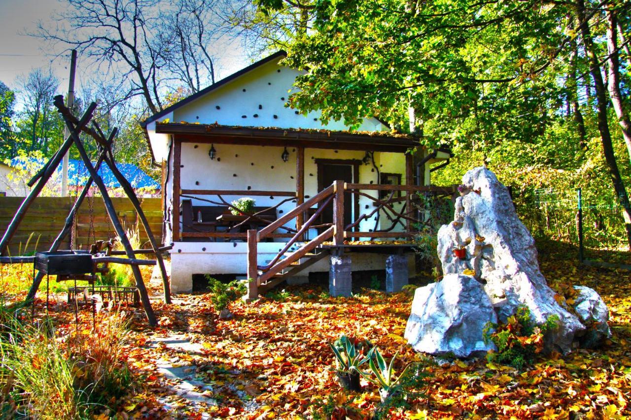 Panorama Hotel & Spa Černovice Exteriér fotografie