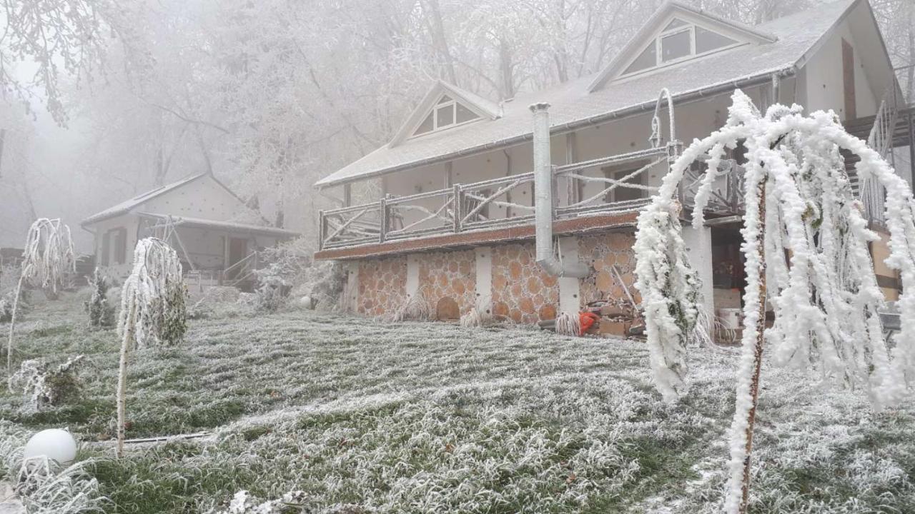 Panorama Hotel & Spa Černovice Exteriér fotografie